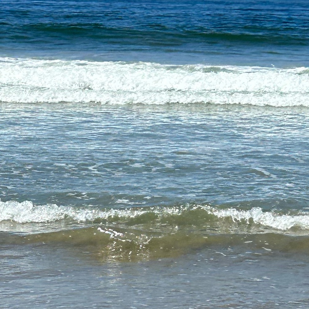 Meet your Posher, Marlie